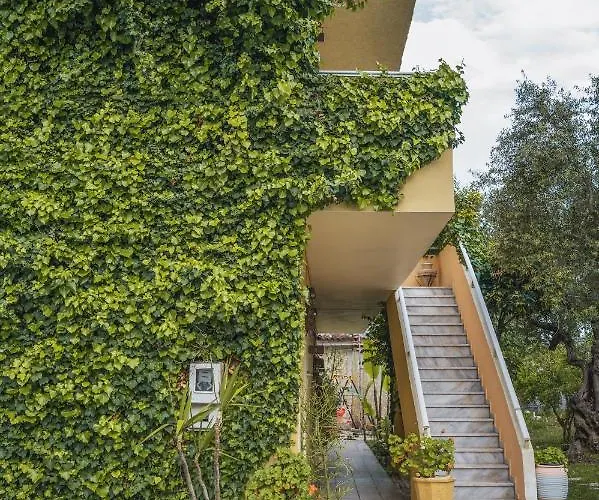 Aparthotel Abelia Boutique
