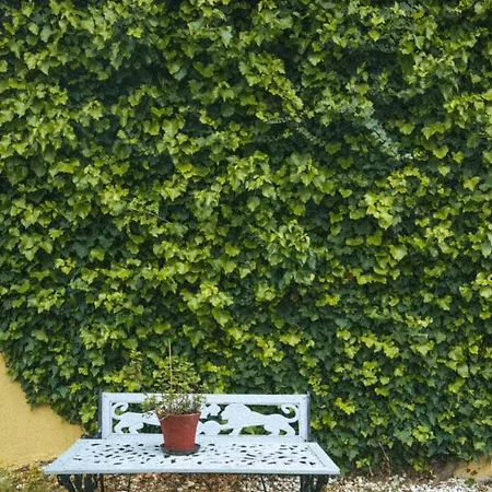 Apartmanhotel Abelia Boutique 3*